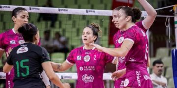 Divulgação/Sancor Maringá.