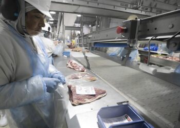 O setor de alimentos emprega mais de 250 mil trabalhadores no Estado