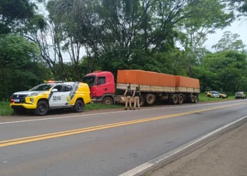 Paraguaio com caminhão roubado morre em confroto com a PM na PR-323