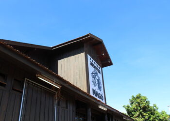 Interior do Teatro Reviver Magó, tradicional espaço do Convite à Dança (Crédito: Arquivo/Cristiano Martinez)