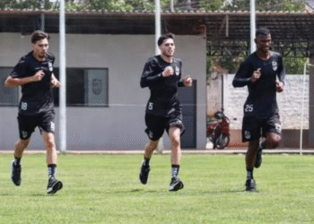 (galomaringá021225) (Victor Bulhak/Galo Maringá)