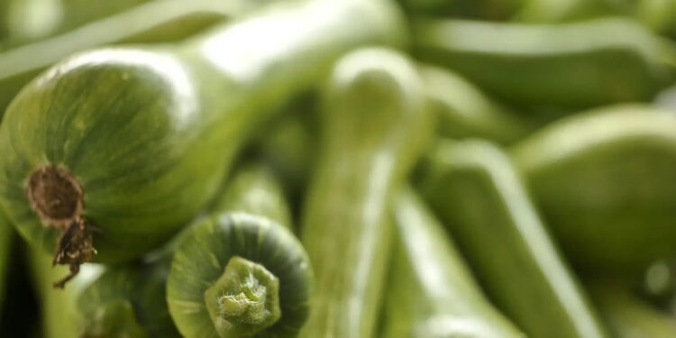 “Vilão” na Cidade Canção é a abobrinha, com aumento de 50,40%, entre dezembro/2024 e novembro/2025 (Crédito: Ilustrativa/EBC)