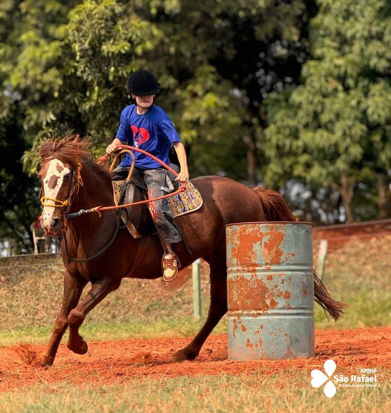 Projeto Rédeas da Vida usa cavalos para promover a inclusão de crianças e adolescentes, considerando aspectos motores, cognitivos, emocionais e comportamentais