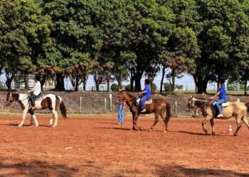 Projeto Redeas da Vida promove a inclusão de jovens