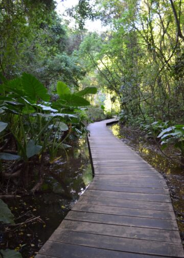 Técnicos da Unilivre vão realizar trabalho em Maringá para o enfrentamento dos problemas climáticos