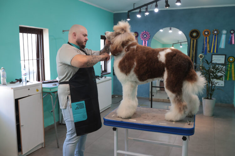 Destaque para serviços, como sempre, que fechou o acumulado de 2025 com 2.678 novos postos
(Crédito: Ilustrativa/Geraldo Bubniak/AEN)