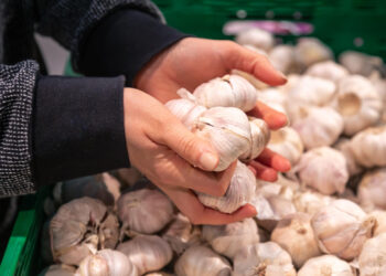 No caso maringaense, o principal responsável pelo declínio dos preços em dezembro é o alho, que ficou em -12,23% (Crédito: Ilustrativa/Freepik)