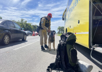 Crédito: Cb. Mauro Berg/CCOMSOC/PMPR