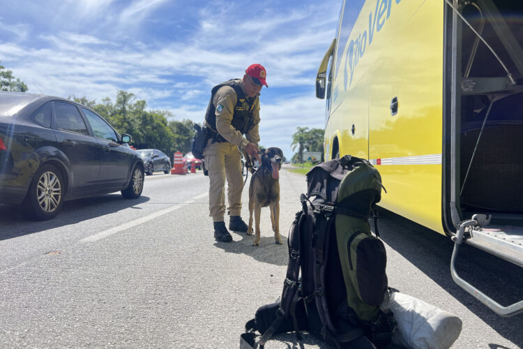 Crédito: Cb. Mauro Berg/CCOMSOC/PMPR