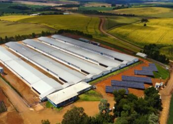 Paraná é líder na adoção da energia solar nas propriedades rurais