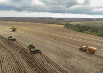Boletim da safra de 2026 do Deral aponta bom ritmo nos plantios de soja, milho e feijão