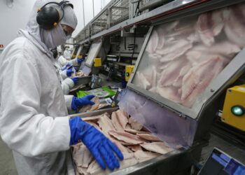 Crédito: Arquivo/Jonathan Campos/AEN