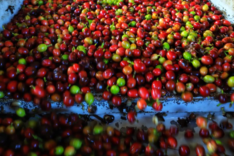 Crédito: Arquivo/José Fernando Ogura/AEN