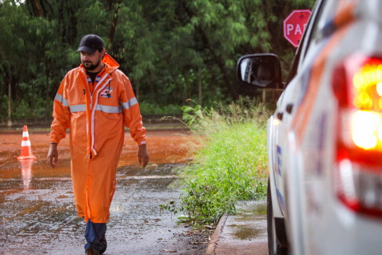 Crédito: Rafael Macri/PMM