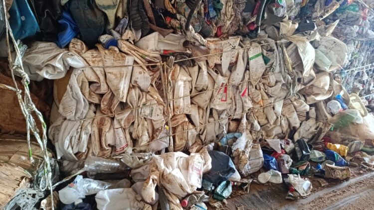 barracão de reciclagem de Paiçandu é interditado por ter embalagens de defensivos agrícolas misturas dom recicláveis