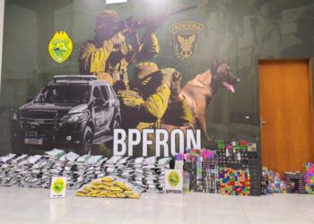 inseticida e cigarros eletrônicos contrabandeados do Paraguai são apreendidos na pr-323