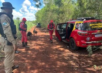 Homem que esfaqueou mulher grávida e sequestrou criança, é morto em confronto com a polícia