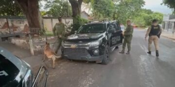 Operação Dom Pedro prende nove adultos e apreende oito adolescentes