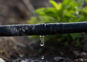 Brasil terá a primeira pós-graduação em irrigação de alta performance