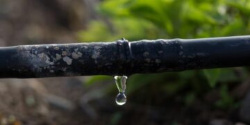 Brasil terá a primeira pós-graduação em irrigação de alta performance