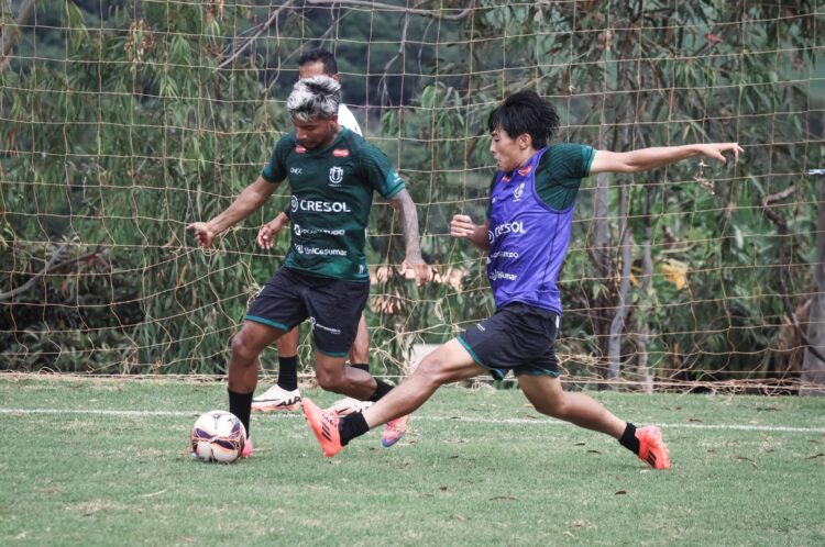Foto: Rodrigo Araujo/Maringá FC