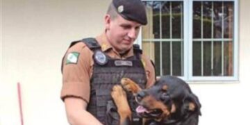 Policial militar que morreu em capotamento de viatura é velado em Maringá