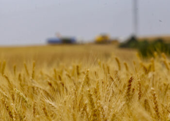 Foto: Arquivo/Gilson Abreu/AEN