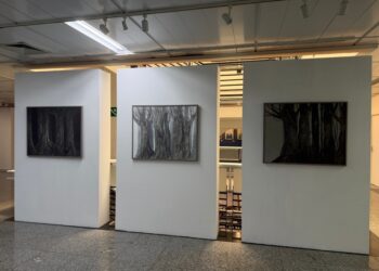 Crédito: Luana Caroline