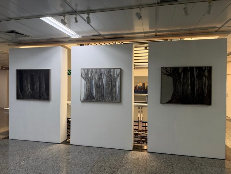 Crédito: Luana Caroline