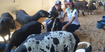 Pós-Graduação em Zootecnia da UEM comemora a conquista do conceito máximo em avaliação pela Capes