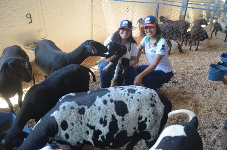 Pós-Graduação em Zootecnia da UEM comemora a conquista do conceito máximo em avaliação pela Capes