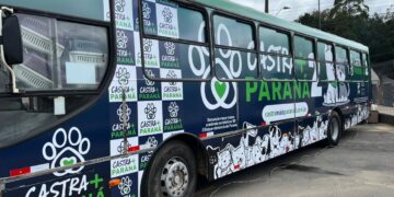 Programa Castro+Paraná pretende castrar mil cães e gatos em Maringá