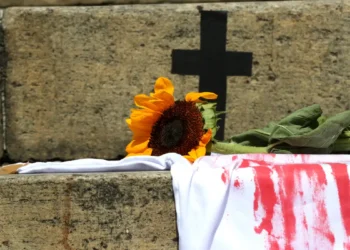 Fórum Maringaense da Mulher promove evento para debater o feminicídio