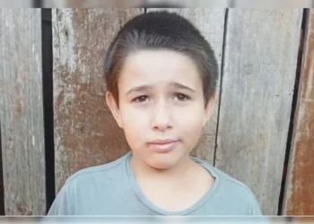 Menino de 11 anos está desaparecido em área de mata em Mandaguari