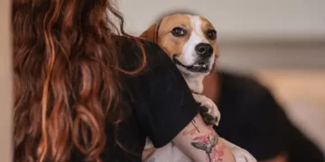 No O Encontro, cães e gatos escolhem seus donos