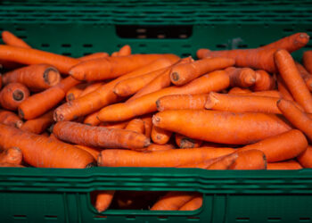 Cenoura registrou alta de 43,93% em março, na Cidade Canção (Crédito: Ilustrativa/Freepik)