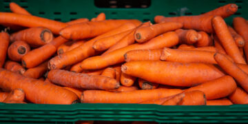 Cenoura registrou alta de 43,93% em março, na Cidade Canção (Crédito: Ilustrativa/Freepik)