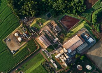 Alltech do Brasil, empresa da área de nutrição animal, recebe Medalha de Ouro da EcoVadis