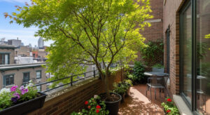 12 plantas para transformar uma varanda pequena em um cantinho verde