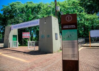 Crédito: Rafael Macri/PMM