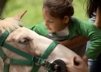 Itaipu Sociedade Rural se unem para implantar centro de equoterapia no parque de exposições de Maringá
