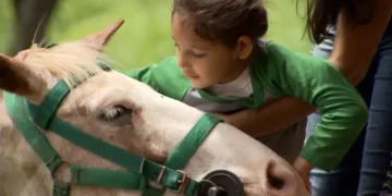 Itaipu Sociedade Rural se unem para implantar centro de equoterapia no parque de exposições de Maringá