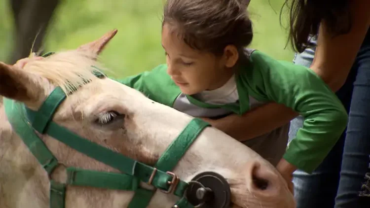 Itaipu Sociedade Rural se unem para implantar centro de equoterapia no parque de exposições de Maringá