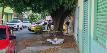 Mulher espanca idoso até a morte no Jardim Primavera, em Mandaguari