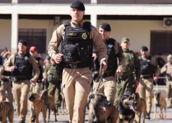Polícia Militar do Paraná forma 34 novos policiais para uso de cães em operações