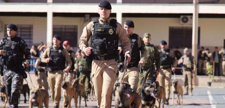 Polícia Militar do Paraná forma 34 novos policiais para uso de cães em operações