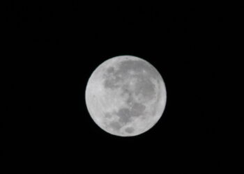 Lua Cheia com 99% de seu disco lunar iluminado (Crédito: Cristiano Martinez)
