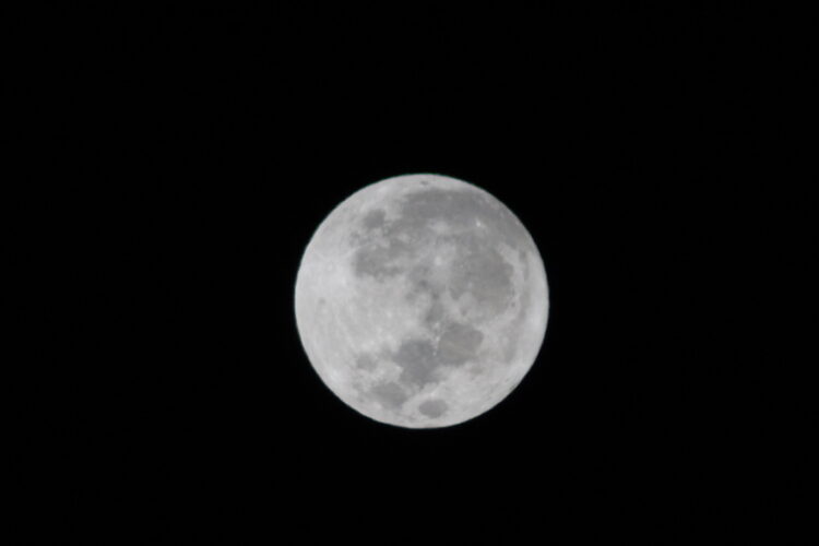 Lua Cheia com 99% de seu disco lunar iluminado (Crédito: Cristiano Martinez)
