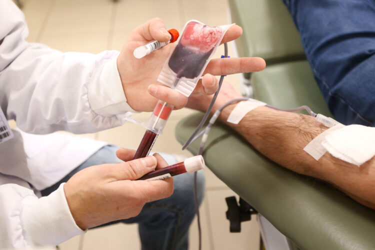Hemepar, doação de sangue
Foto Gilson Abreu