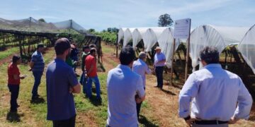 Marialva sedia Jornada Tecnológica em Fruticultura, buscando consolidar a fruticultura
